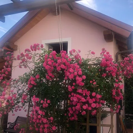 Bice Di Casteruggia Дом отдыха *
